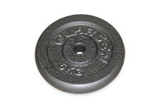 Диск окрашенный серый д26мм 5кг Larsen NT118